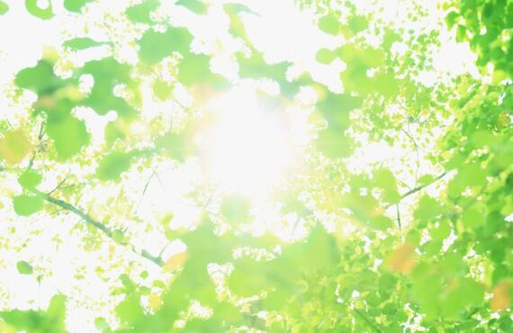 独立を目指している方